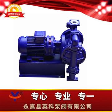 浙江溫州永嘉甌北襯氟電動(dòng)隔膜泵廠家
